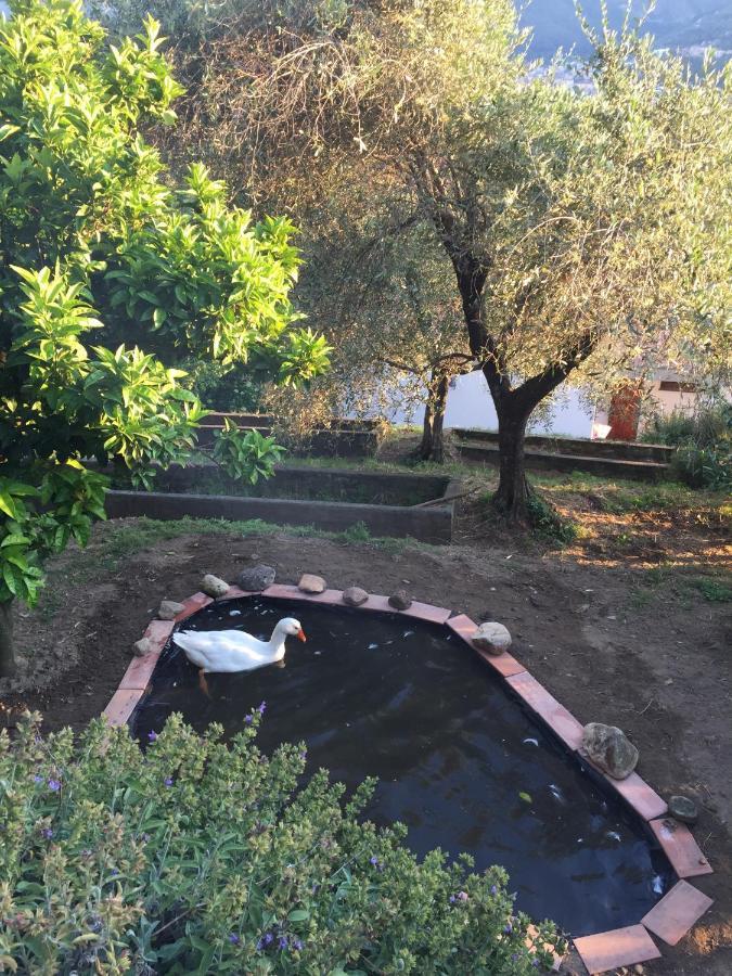 Gli Amici Di Carla Hotel La Spezia Luaran gambar